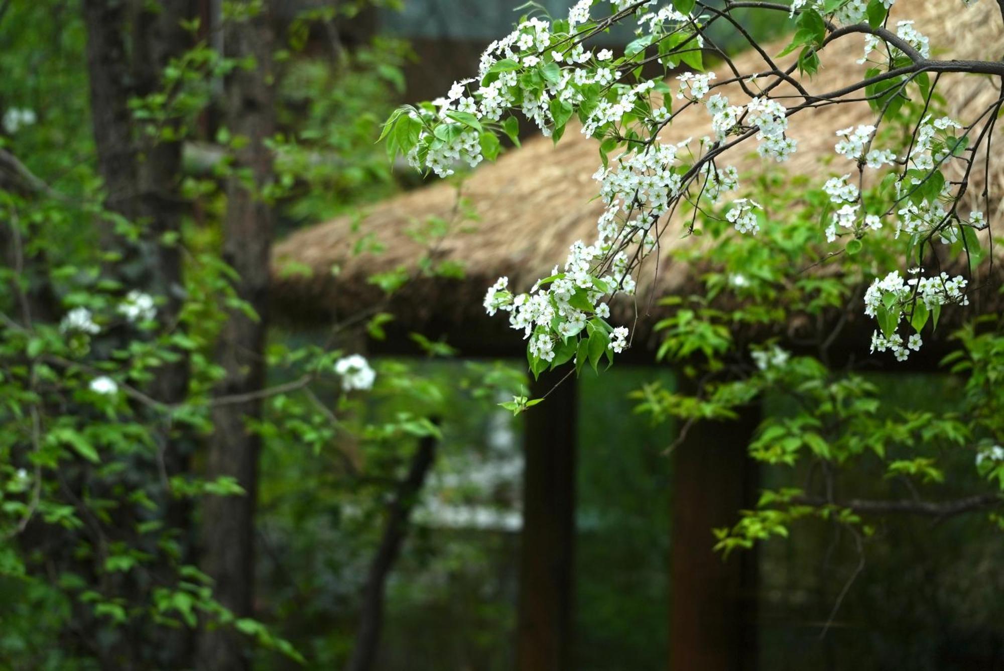 吾爱堂 Apartment Lijiang  Luaran gambar