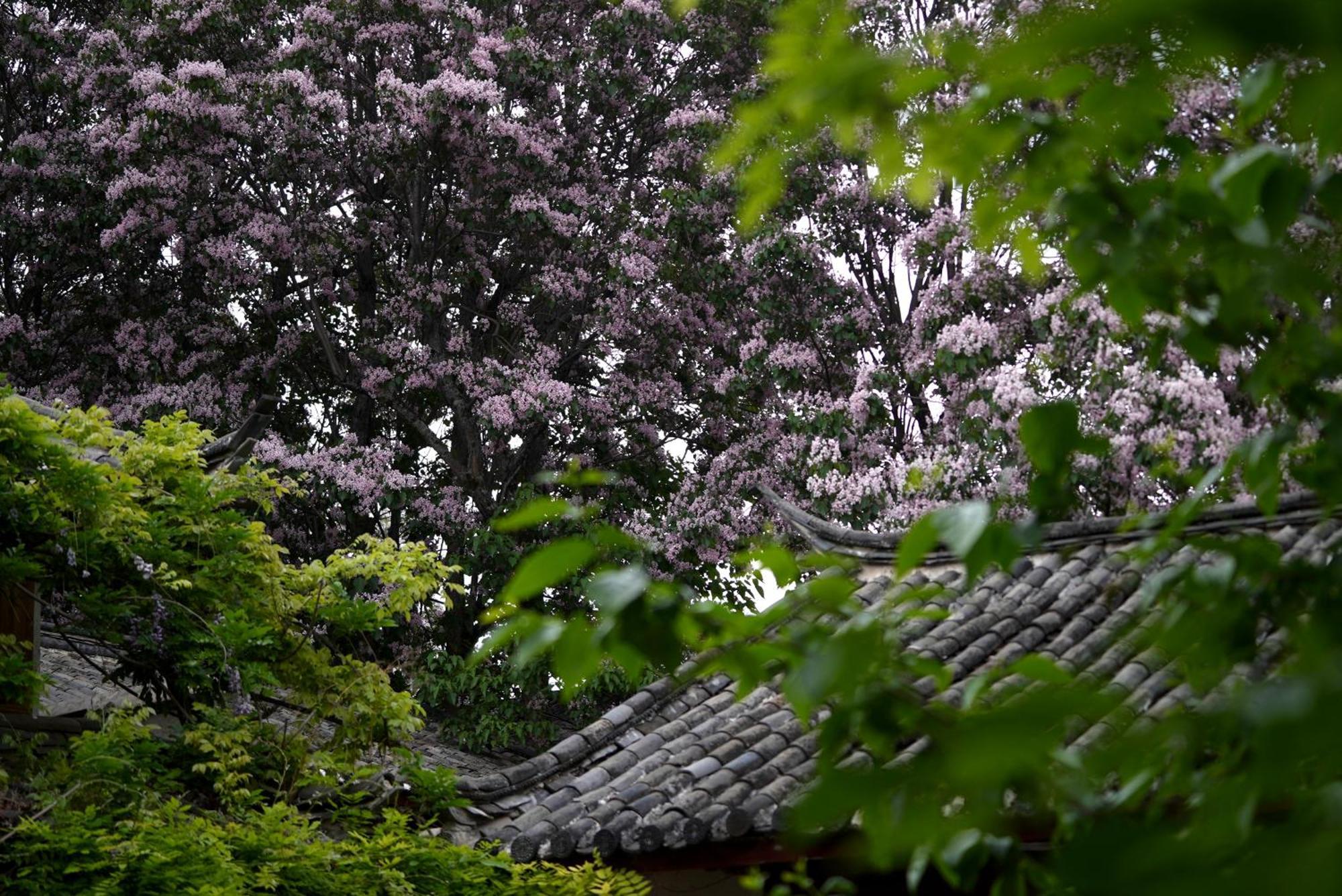 吾爱堂 Apartment Lijiang  Luaran gambar