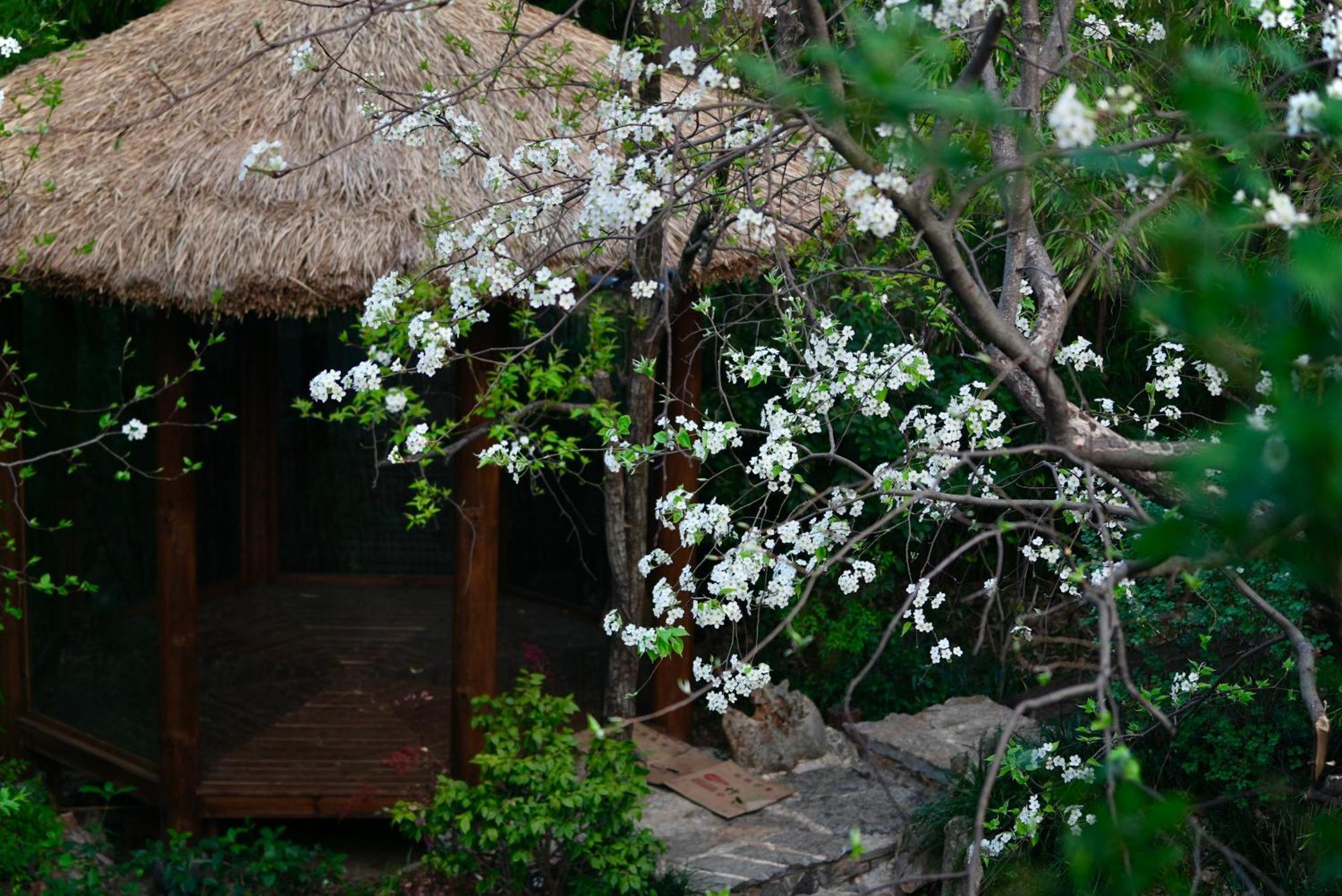 吾爱堂 Apartment Lijiang  Luaran gambar