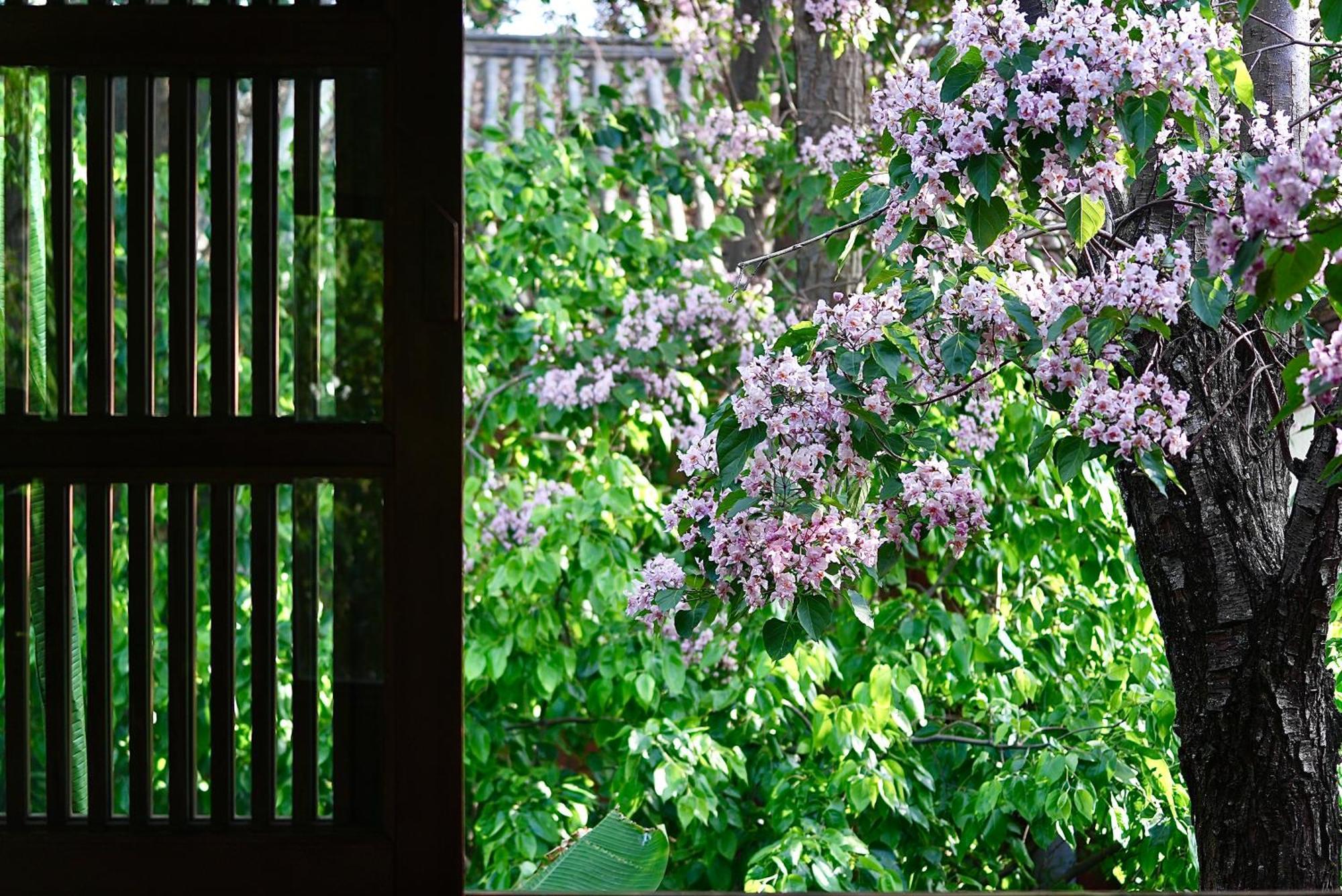 吾爱堂 Apartment Lijiang  Luaran gambar