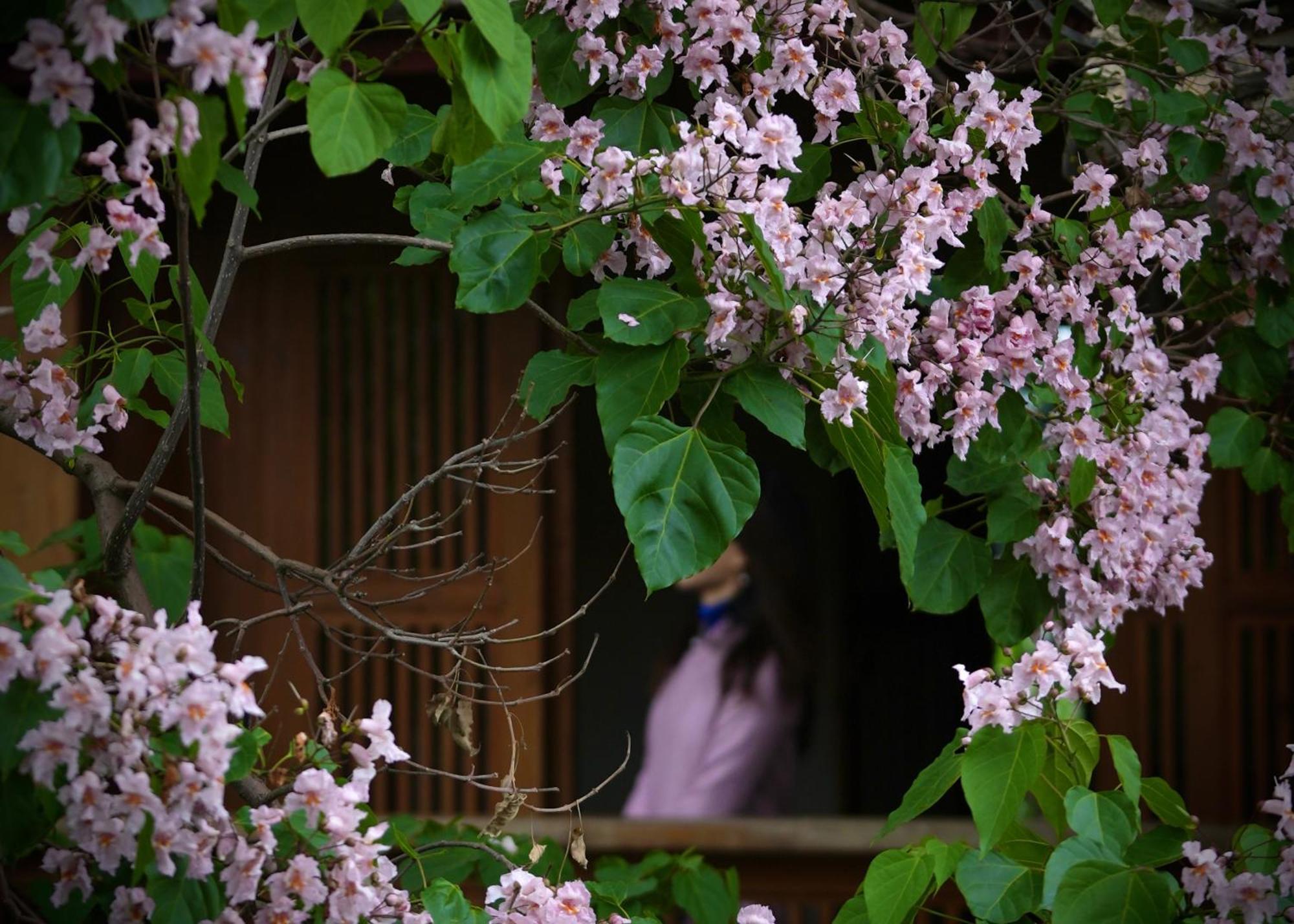 吾爱堂 Apartment Lijiang  Luaran gambar